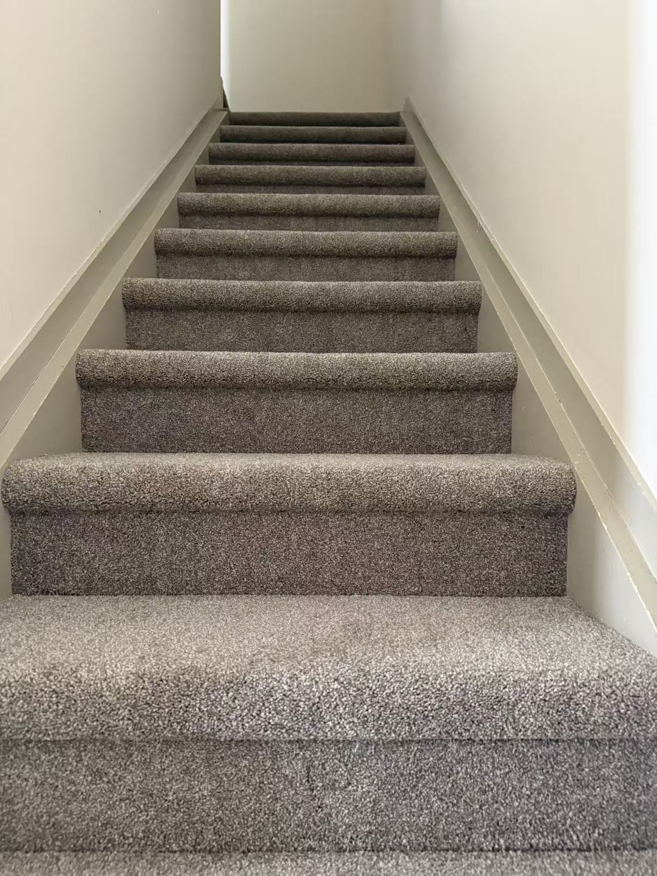 Albany Investment Property Carpet Replacement Completed in One Day
